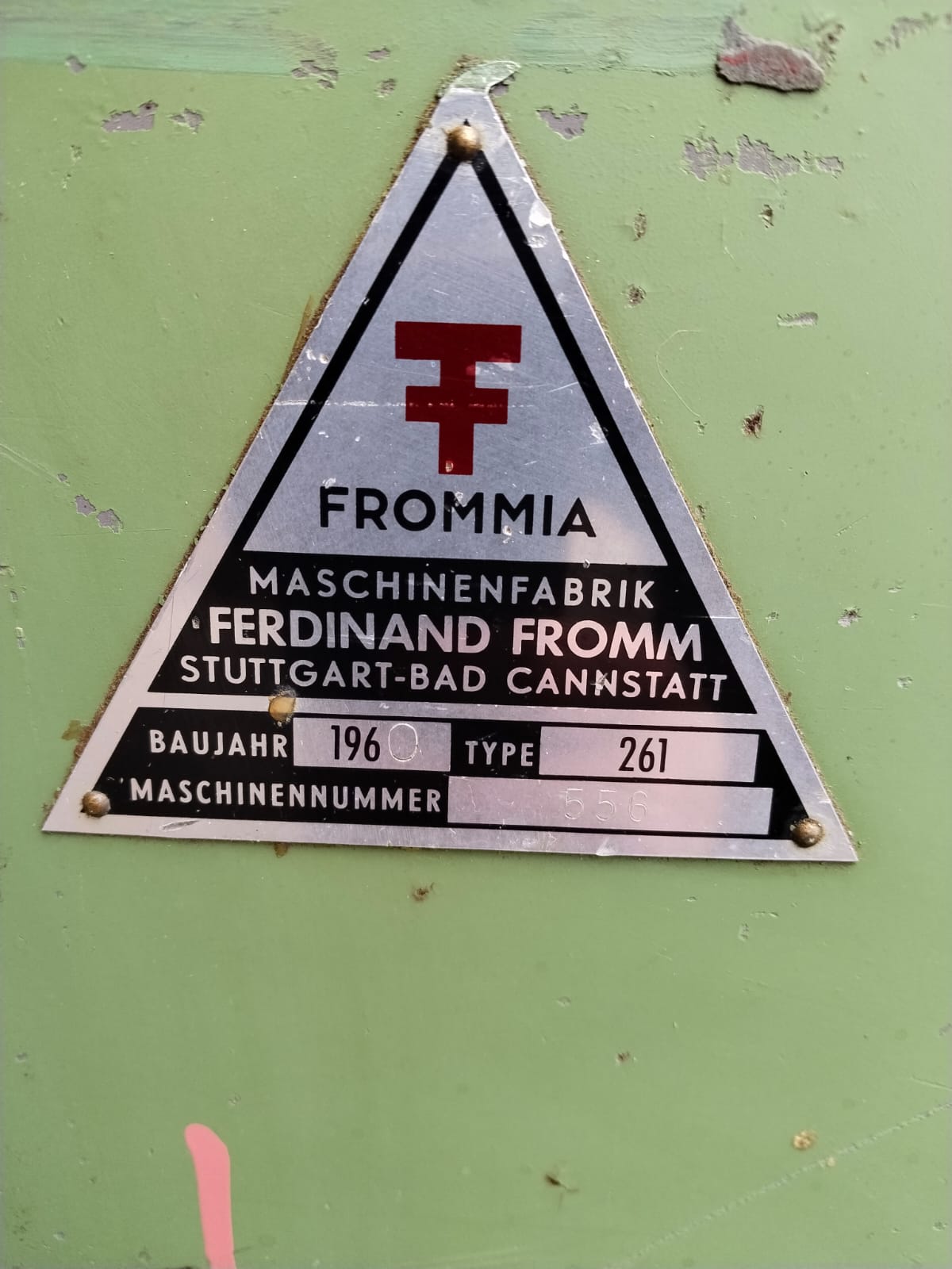 Grubościówka FROMMIA - obrazek 2